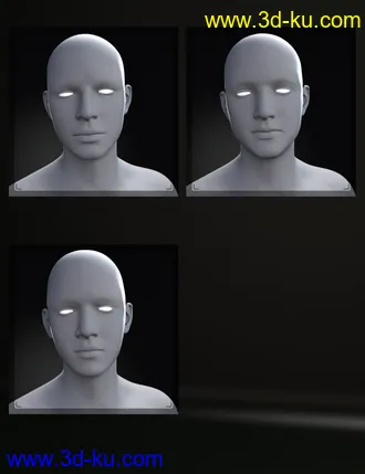 3D打印模型M3D Teen 8 Classmates Head Shapes for Genesis 8 Male的图片