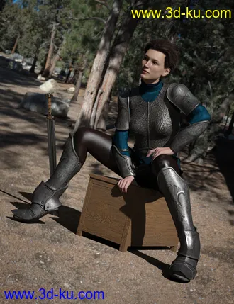 3D打印模型Maid At Arms Armor for Genesis 8 Female(s)的图片