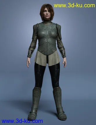 3D打印模型Maid At Arms Armor for Genesis 8 Female(s)的图片