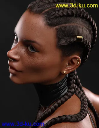 3D打印模型Minka for Latonya 8的图片