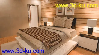 Modern Rustic House模型的图片10
