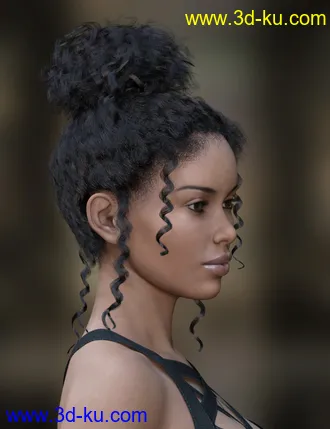 3D打印模型MRL dForce Curly Bun for Genesis 8 Female(s)的图片