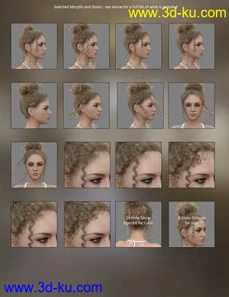 3D打印模型MRL dForce Curly Bun for Genesis 8 Female(s)的图片
