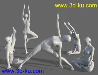3D打印模型Namaste Poses for the Genesis 8 Female(s)的图片