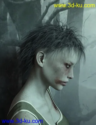 3D打印模型Nightmare Hair for Genesis 3 Female(s) and Male(s)的图片