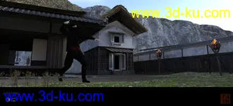 Ninja Village模型的图片12