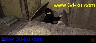 Ninja Village模型的图片16