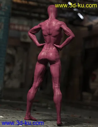 3D打印模型No Suit for Genesis 8 Female(s)的图片
