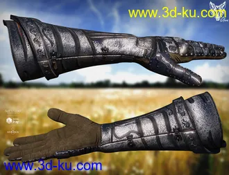 3D打印模型Orlean's Armor for Genesis 8 Male(s)的图片