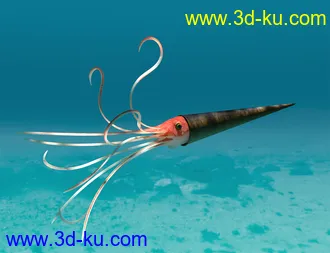 3D打印模型Oso Ammonoids的图片