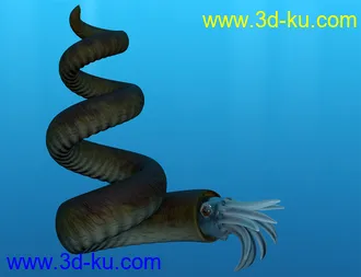 3D打印模型Oso Ammonoids的图片