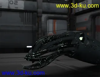 3D打印模型Oso Ammonoids的图片