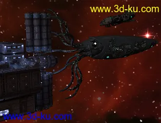 3D打印模型Oso Ammonoids的图片