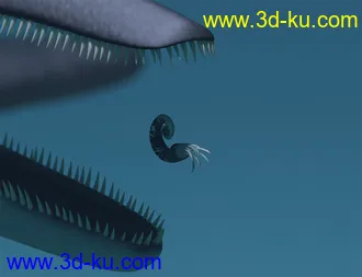 3D打印模型Oso Ammonoids的图片