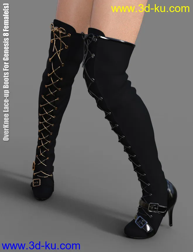 OverKnee Lace-Up Boots for Genesis 8 Female(s)模型的图片1