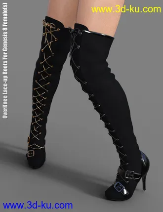 3D打印模型OverKnee Lace-Up Boots for Genesis 8 Female(s)的图片