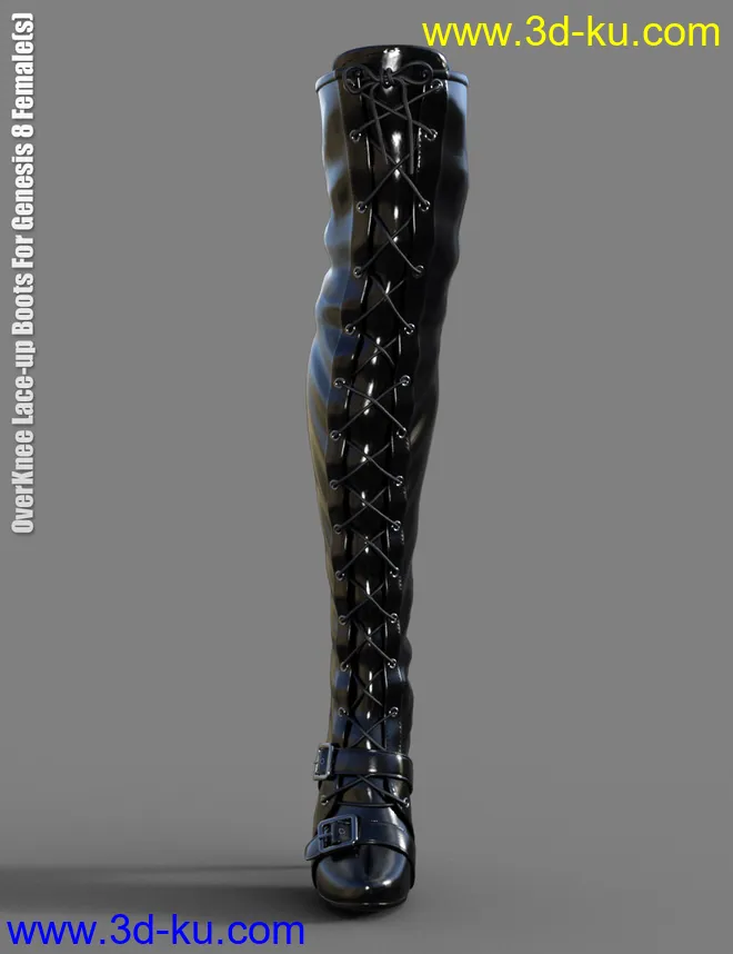 OverKnee Lace-Up Boots for Genesis 8 Female(s)模型的图片3