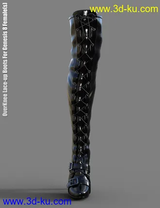 3D打印模型OverKnee Lace-Up Boots for Genesis 8 Female(s)的图片