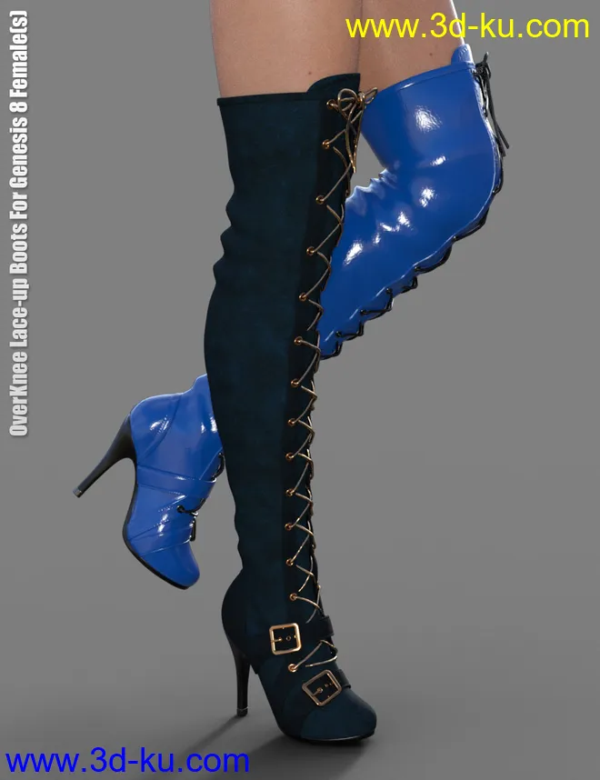 OverKnee Lace-Up Boots for Genesis 8 Female(s)模型的图片5