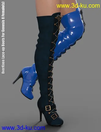 3D打印模型OverKnee Lace-Up Boots for Genesis 8 Female(s)的图片