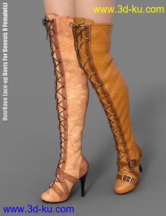 3D打印模型OverKnee Lace-Up Boots for Genesis 8 Female(s)的图片