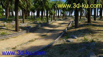 3D打印模型Palm Road的图片