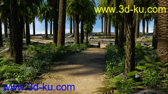 3D打印模型Palm Road的图片