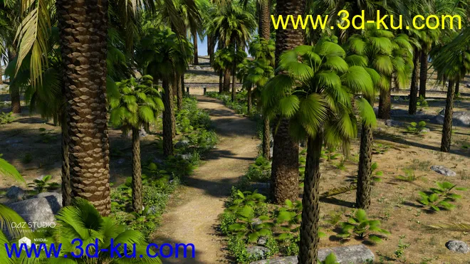 Palm Road模型的图片6