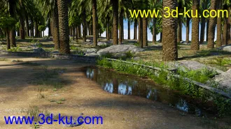 3D打印模型Palm Road的图片