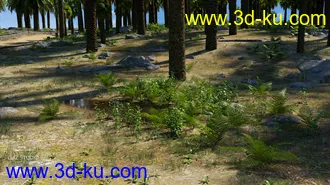 3D打印模型Palm Road的图片