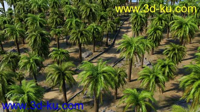 Palm Road模型的图片14