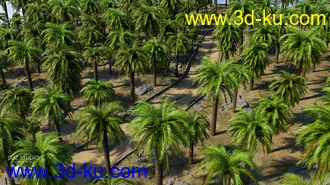 3D打印模型Palm Road的图片