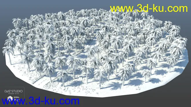 Palm Road模型的图片15