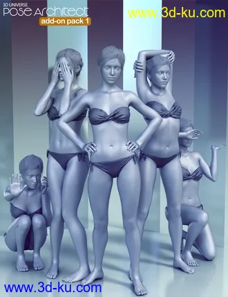 3D打印模型Pose Architect Add-on Pack 1 for Genesis 8 Female(s)的图片