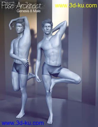3D打印模型Pose Architect for Genesis 8 Male(s)的图片