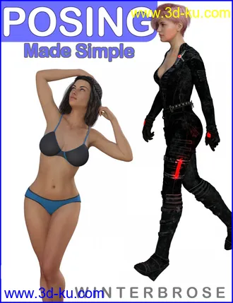 3D打印模型POSING Made Simple的图片