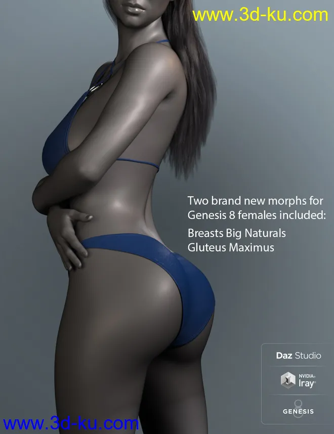 RealFit One Piece for Genesis 8 Females模型的图片6