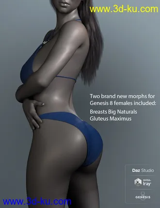 3D打印模型RealFit One Piece for Genesis 8 Females的图片
