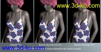 3D打印模型RealFit One Piece for Genesis 8 Females的图片
