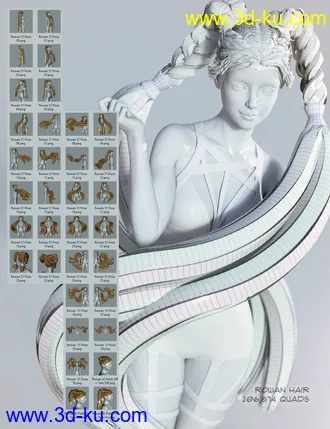 3D打印模型Rowan Hair for Genesis 3 & 8 Female(s)的图片
