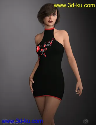 3D打印模型Silk Embroidered Dress的图片