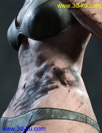 Skin Effects - Dirt elements for Genesis 3 and 8 Females模型的图片1