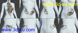 3D打印模型Skin Effects - Dirt elements for Genesis 3 and 8 Females的图片
