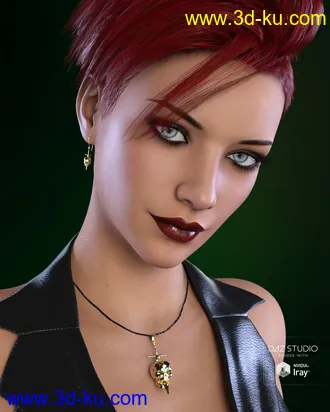 3D打印模型Skullduggery Jewelry for Genesis 3 Female(s)的图片