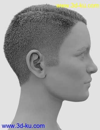 3D打印模型Star Life HD for Genesis 8 Female的图片