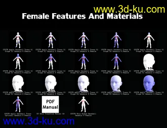 3D打印模型SY Skin Transform for Genesis 8的图片