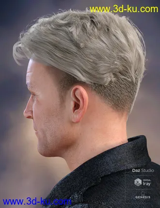 3D打印模型Terence Flipped Hair for Genesis 3 and 8 Male(s)的图片