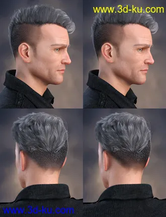 3D打印模型Terence Flipped Hair for Genesis 3 and 8 Male(s)的图片
