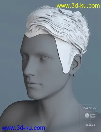 3D打印模型Terence Flipped Hair for Genesis 3 and 8 Male(s)的图片