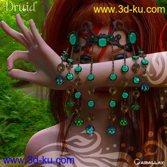 3D打印模型The Druid的图片